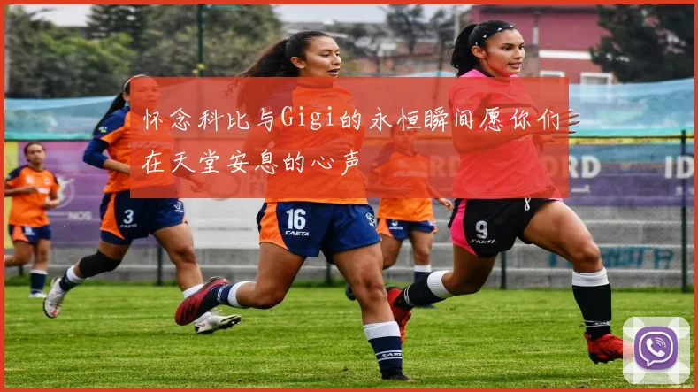 怀念科比与Gigi的永恒瞬间愿你们在天堂安息的心声
