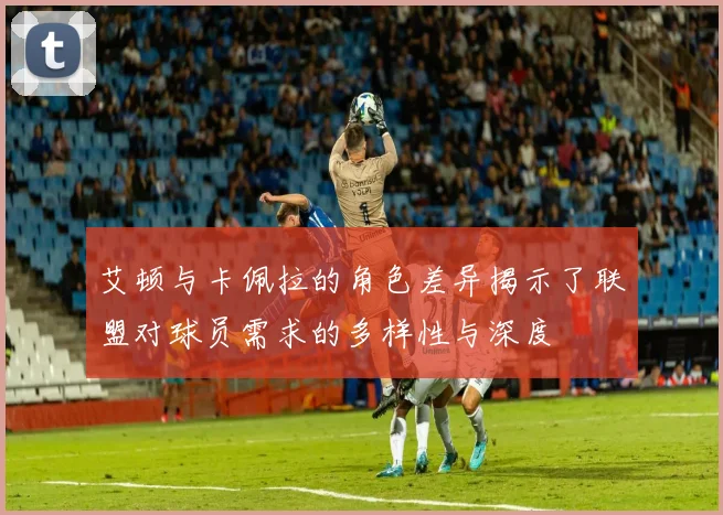 艾顿与卡佩拉的角色差异揭示了联盟对球员需求的多样性与深度